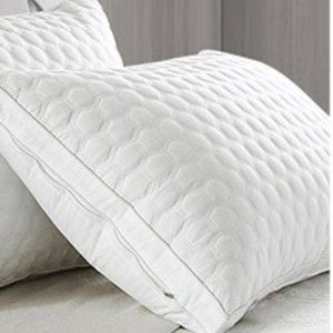 White Goose Down King Bed 2-Piece Pillow